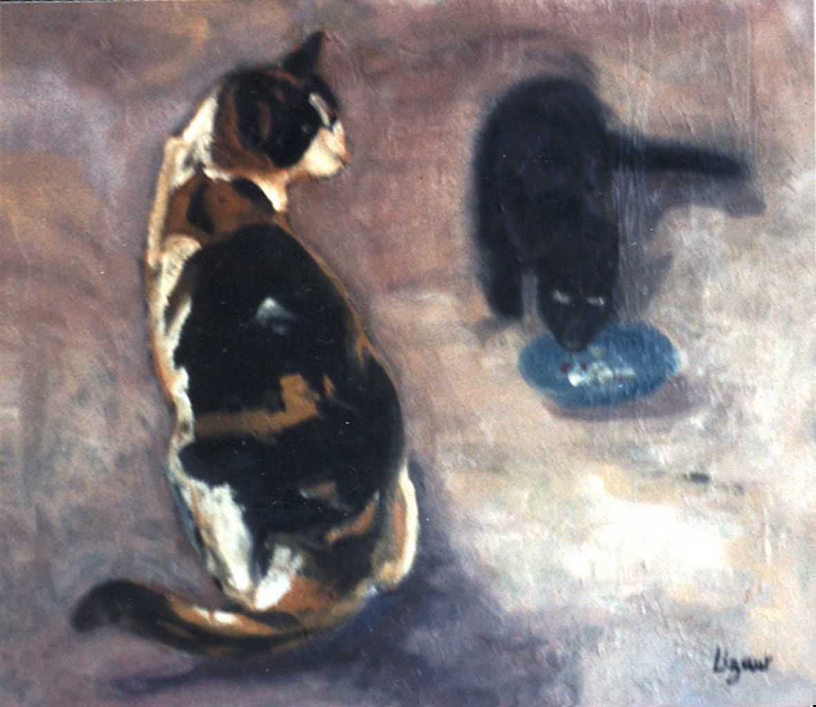 Gatos